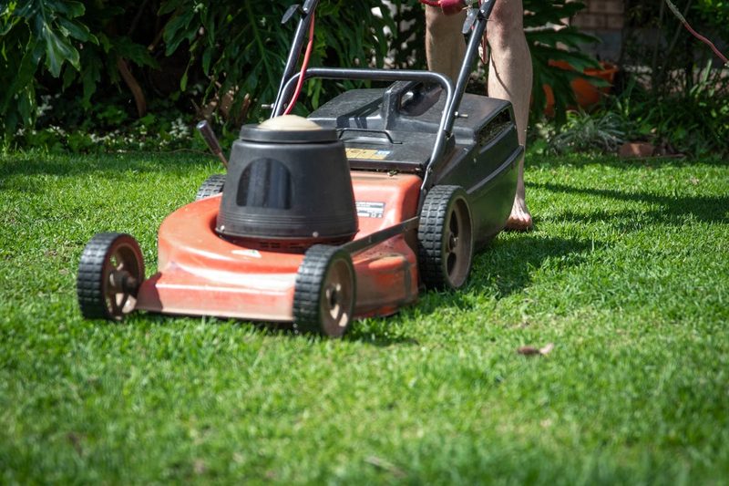 Grün- & Graupflege – M&C Cleaning Solutions